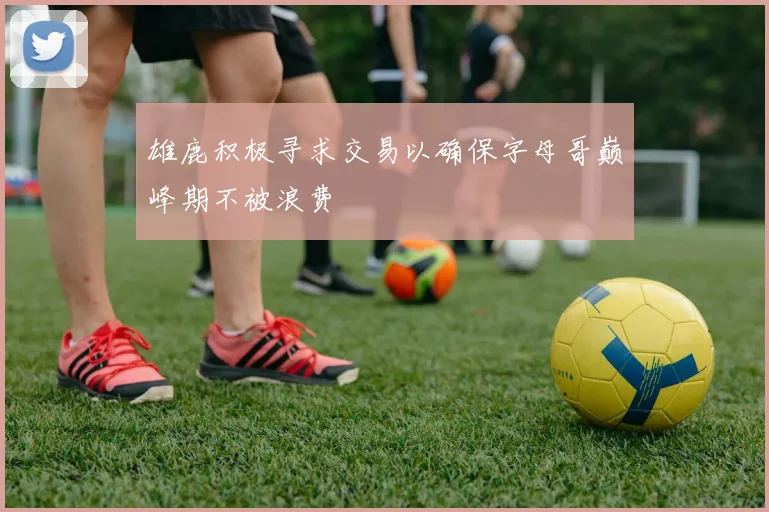 雄鹿积极寻求交易以确保字母哥巅峰期不被浪费